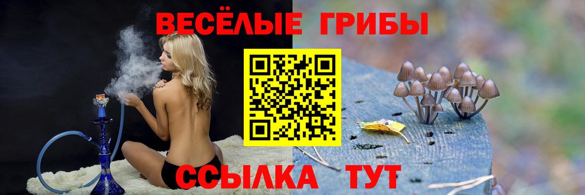 Псилоцибиновые грибы мухоморы  Вход с VPN  Дзержинский 